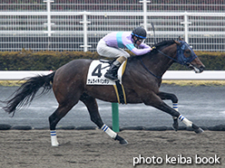 カラープリント(アルミ枠なし)2015年3月29日中京8R 4歳上500万下(ナムライチバンボシ)