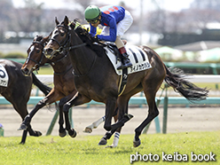 カラープリント(アルミ枠付き)2015年3月29日中山3R 3歳未勝利(アイノカケハシ)