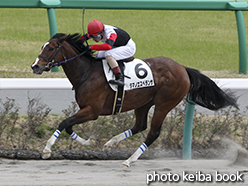 カラープリント(アルミ枠付き)2015年3月29日中山7R 4歳上500万下(タマノエスペランサ)