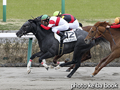 カラープリント(アルミ枠なし)2015年3月29日中山8R 4歳上1000万下(ダノンミシガン)