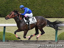 カラープリント(アルミ枠なし)2015年4月4日阪神5R 3歳500万下(リリーウイナー)