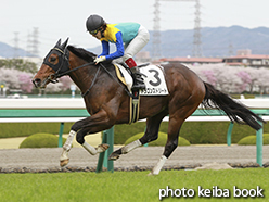 カラーパネル2015年4月4日阪神6R 4歳上500万下(ドラゴンストリート)