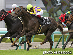 カラーパネル2015年4月4日阪神10R 仲春特別(ダイナミックガイ)