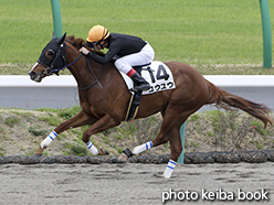 カラープリント(アルミ枠なし)2015年4月4日中山1R 3歳未勝利(ユウユウ)