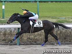 カラープリント(アルミ枠付き)2015年4月4日中山8R 4歳上500万下(ヴィスビー)