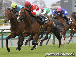 カラープリント(アルミ枠なし)2015年4月4日中山9R 山吹賞(レッドライジェル)