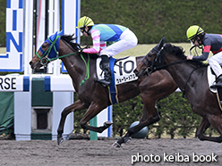 カラープリント(アルミ枠なし)2015年4月5日阪神1R 3歳未勝利(ウォーターメアヌイ)