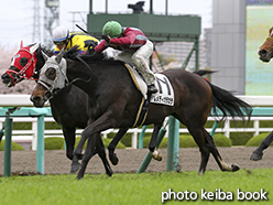 カラープリント(アルミ枠なし)2015年4月5日阪神4R 3歳未勝利(テルメディカラカラ)