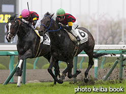 カラーパネル2015年4月5日阪神8R 4歳上1000万下(エイシンエルヴィン)