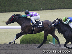 カラープリント(アルミ枠なし)2015年4月5日阪神9R 鳴門ステークス(ヒラボクプリンス)