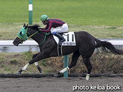 カラープリント(アルミ枠付き)2015年4月5日中山2R 3歳未勝利(ハーランズロマン)