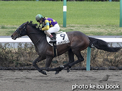 カラープリント(アルミ枠なし)2015年4月5日中山7R 4歳上500万下(ロンギングエース)