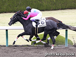 カラープリント(アルミ枠付き)2015年4月11日阪神1R 3歳未勝利(モアニケアラ)