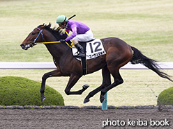 カラープリント(アルミ枠付き)2015年4月11日阪神2R 3歳未勝利(スーサンジョイ)