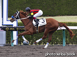 カラーパネル2015年4月11日阪神3R 3歳未勝利(エイシンハリケーン)