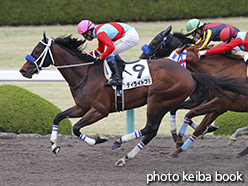 カラーパネル2015年4月11日阪神7R 4歳上500万下(ディライトフル)