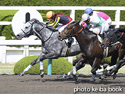 カラープリント(アルミ枠なし)2015年4月11日阪神8R 4歳上500万下(スクワドロン)