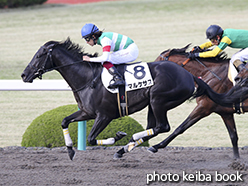 カラープリント(アルミ枠付き)2015年4月11日阪神12R 4歳上1000万下(マルケサス)