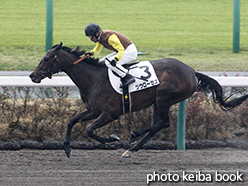 カラーパネル2015年4月11日中山1R 3歳未勝利(ツウローゼズ)