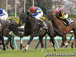 カラープリント(アルミ枠付き)2015年4月11日中山10R 湾岸ステークス(シャドウダンサー)