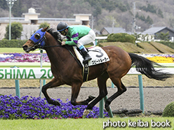 カラーパネル2015年4月11日福島8R 4歳上500万下(スピードルーラー)