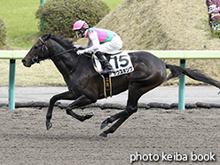 カラープリント(アルミ枠なし)2015年4月11日福島9R 4歳上500万下(サウスキング)