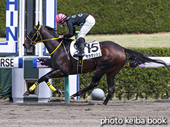 カラーパネル2015年4月12日阪神2R 3歳未勝利(サカダッシュ)