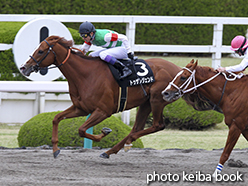 カラープリント(アルミ枠付き)2015年4月12日阪神12R 梅田ステークス(トゥザレジェンド)