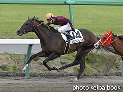 カラーパネル2015年4月12日中山12R 4歳上1000万下(コリンブレッセ)