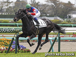 カラープリント(アルミ枠なし)2015年4月18日中山5R 3歳未勝利(ヴァンガードシチー)