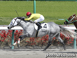 カラープリント(アルミ枠なし)2015年4月18日中山8R 4歳上500万下(ウエスタンソーレ)