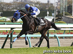 カラープリント(アルミ枠なし)2015年4月18日中山9R 山藤賞(ミュゼゴースト)