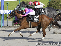 カラーパネル2015年4月18日福島11R ラジオ福島賞(ナリタモード)