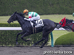 カラープリント(アルミ枠なし)2015年4月19日阪神1R 3歳未勝利(ティンバレス)