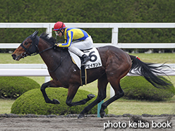 カラープリント(アルミ枠なし)2015年4月19日阪神3R 3歳未勝利(アセイラント)