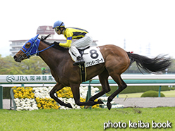 カラープリント(アルミ枠なし)2015年4月19日阪神4R 3歳未勝利(グランディフローラ)