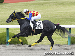 カラープリント(アルミ枠なし)2015年4月19日阪神7R 4歳上500万下(テーオーレイチェル)