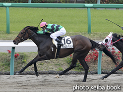 カラーパネル2015年4月19日中山1R 3歳未勝利(センコウノマイヒメ)