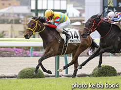 カラープリント(アルミ枠なし)2015年4月19日福島2R 3歳未勝利(アグネスリュシアン)