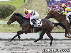 カラーパネル2015年4月19日福島3R 3歳未勝利(フクノドービル)