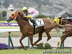 カラープリント(アルミ枠なし)2015年4月19日福島7R 4歳上500万下(セトノフラッパー)