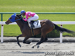 カラーパネル2015年4月25日京都2R 3歳未勝利(アリエスジューゴー)