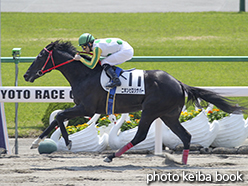 カラープリント(アルミ枠なし)2015年4月25日京都3R 3歳未勝利(ニホンピロシナバー)