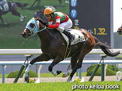 カラーパネル2015年4月25日京都7R 3歳500万下(ムーンクレスト)