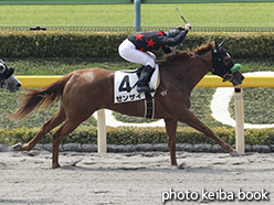 カラープリント(アルミ枠付き)2015年4月25日東京1R 3歳未勝利(ゼンザイ)