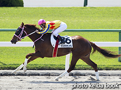 カラープリント(アルミ枠付き)2015年4月26日京都1R 3歳未勝利(アスタキサンチン)