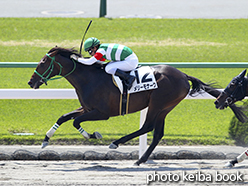 カラーパネル2015年4月26日京都2R 3歳未勝利(メリーモナーク)