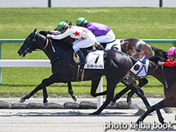 カラープリント(アルミ枠付き)2015年4月26日京都6R 3歳500万下(ミッキーシーガル)