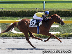 カラーパネル2015年4月26日東京7R 4歳上500万下(メガオパールカフェ)