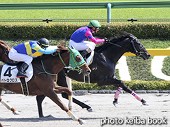 カラープリント(アルミ枠付き)2015年4月26日東京8R 4歳上500万下(メイショウカノン)